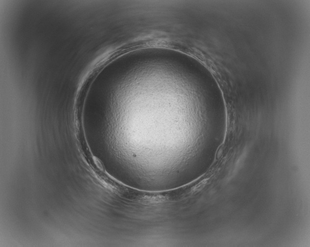 X0000073530245200608141033
