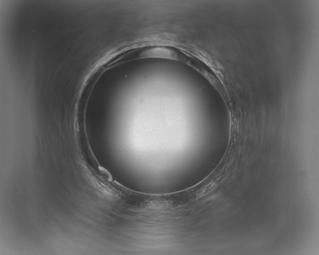 X0000073530248200608141034