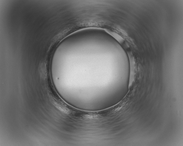 X0000073530250200608141034