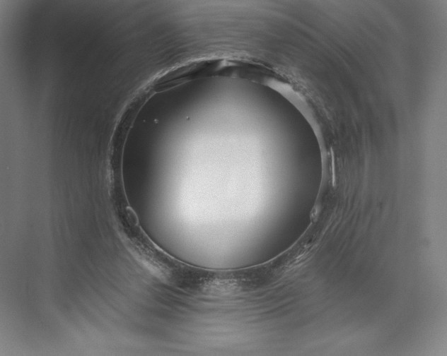 X0000073530252200608141034