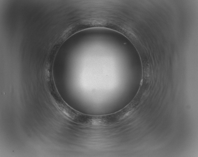 X0000073530264200608141034