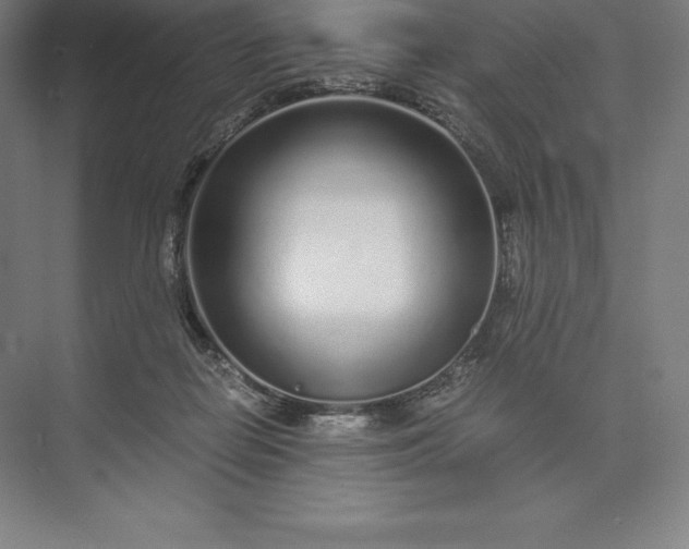 X0000073530266200608141034