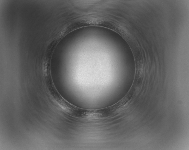 X0000073530268200608141034
