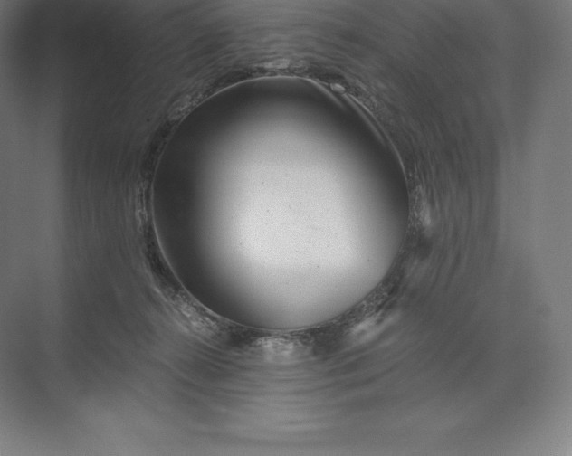 X0000073530272200608141034