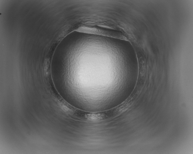 X0000073530273200608141034