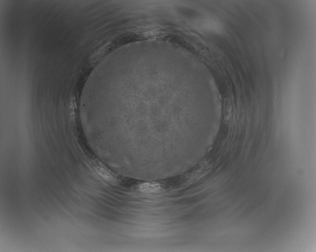 X0000073530279200608141034