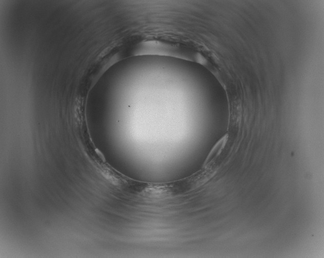 X0000073530280200608141034