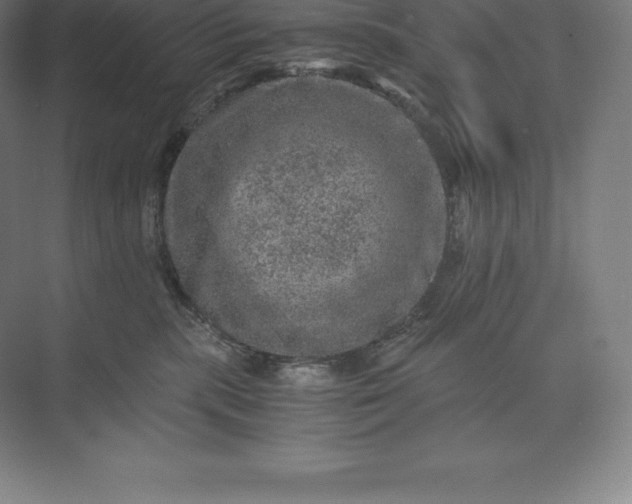 X0000073530283200608141034
