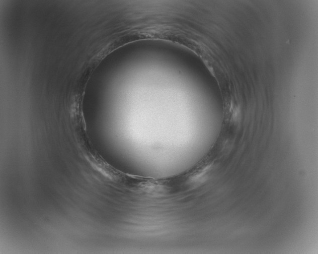 X0000073530284200608141034