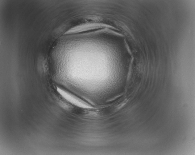 X0000073530285200608141034