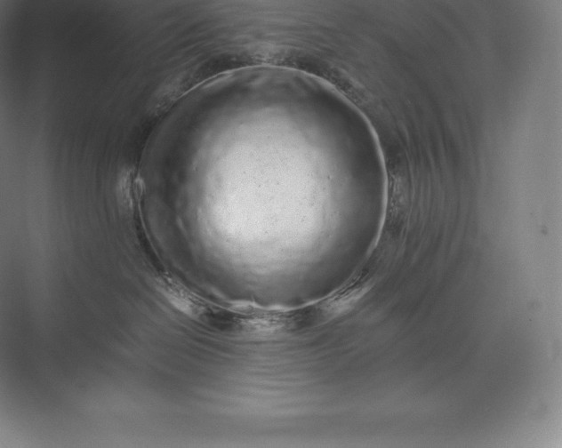 X0000073530286200608141034