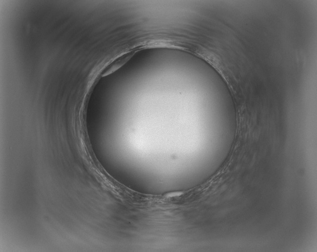 X0000073530289200608141033