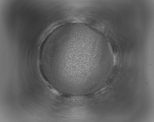 X0000073530291200608141033