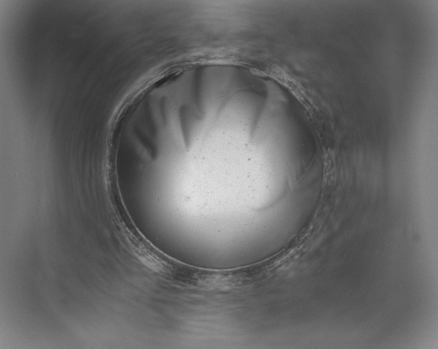X0000073530293200608141033