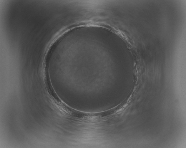 X0000073530295200608141033