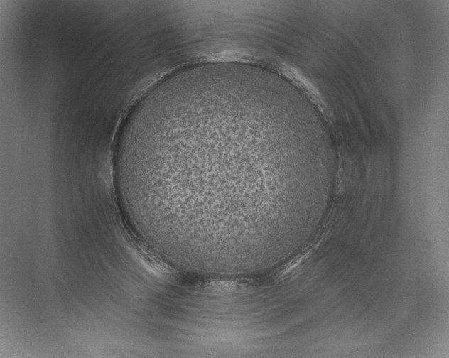 X0000073530298200608141033