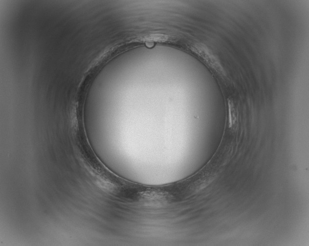 X0000073530300200608141033