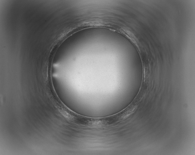 X0000073530301200608141033