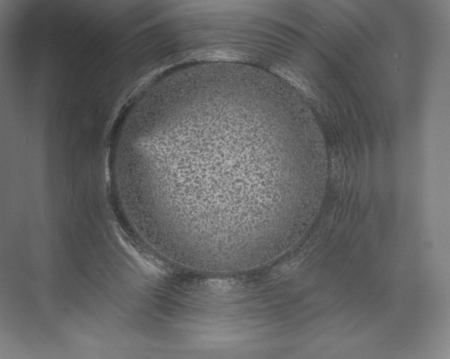X0000073530302200608141033