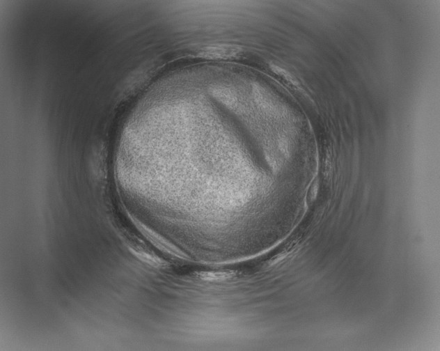 X0000073530303200608141033