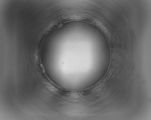 X0000073530305200608141033