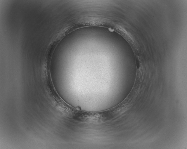 X0000073530306200608141033