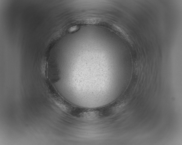 X0000073530307200608141033