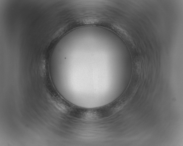 X0000073530308200608141033
