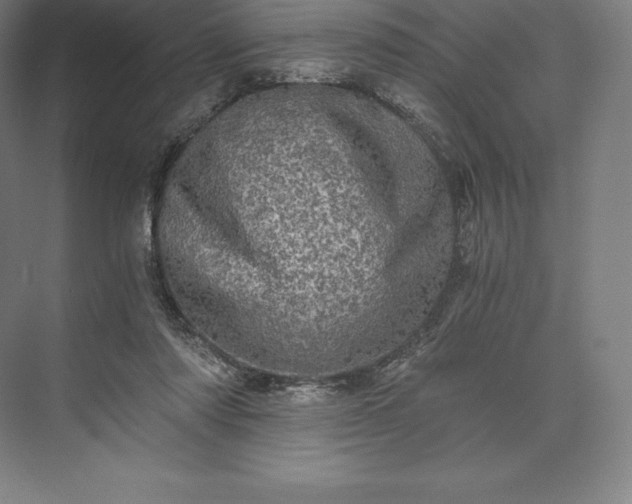 X0000073530310200608141033