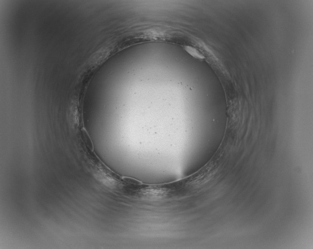X0000073530313200608141033