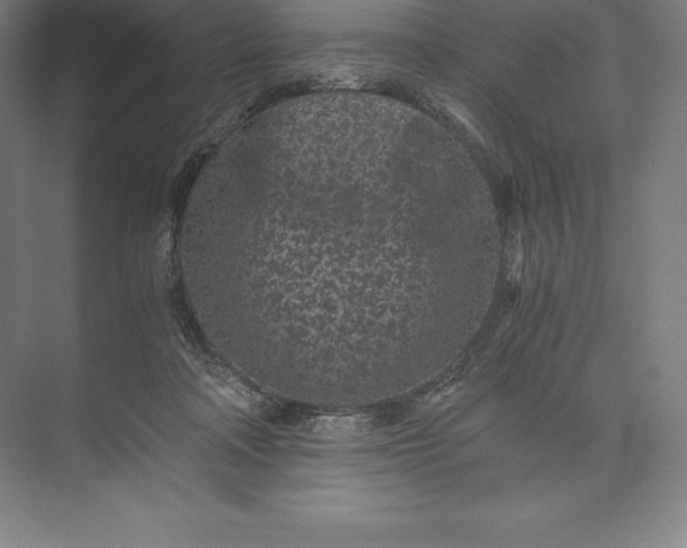X0000073530314200608141033