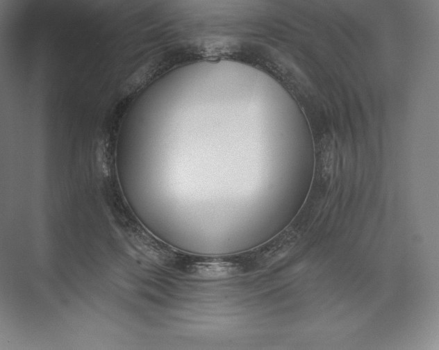 X0000073530316200608141033
