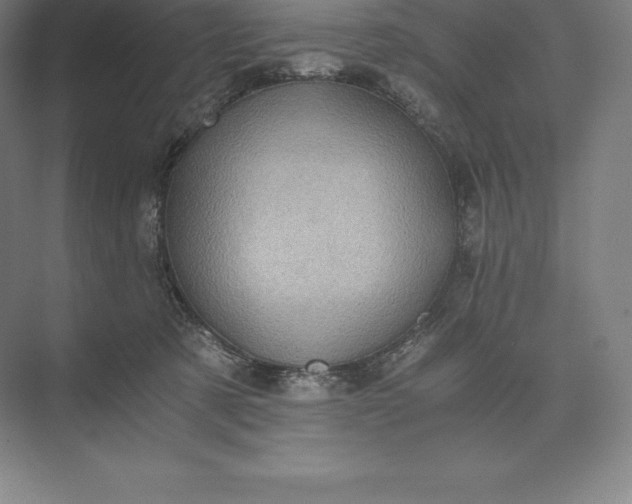 X0000073530321200608141033