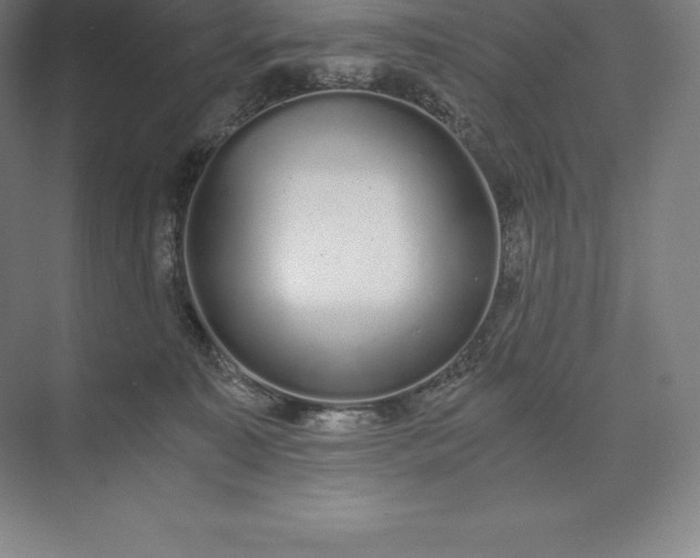 X0000073530323200608141033