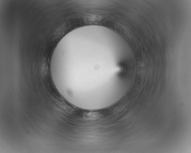 X0000073530324200608141033