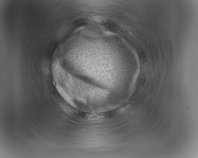 X0000073530331200608141033