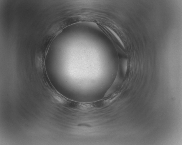X0000073530333200608141033