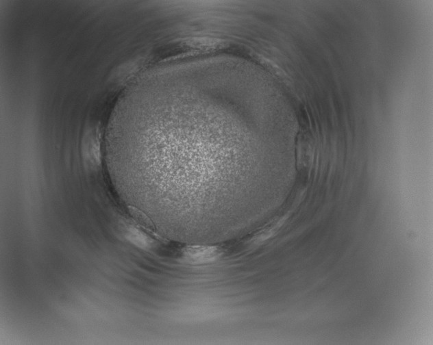 X0000073530334200608141033