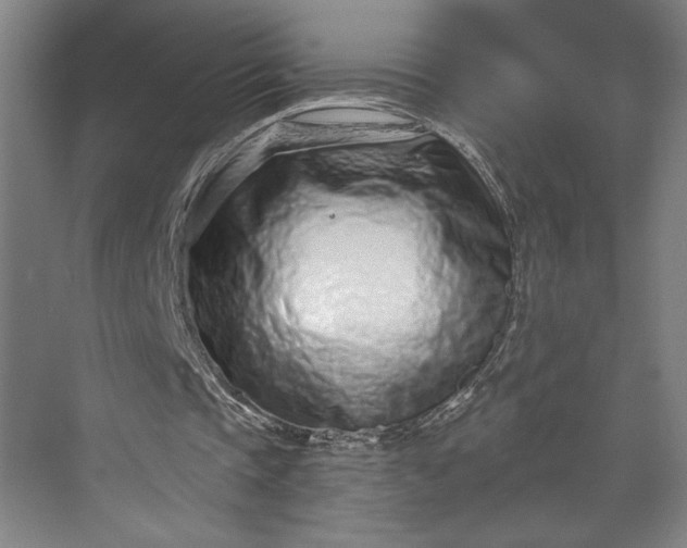 X0000073530337200608141032