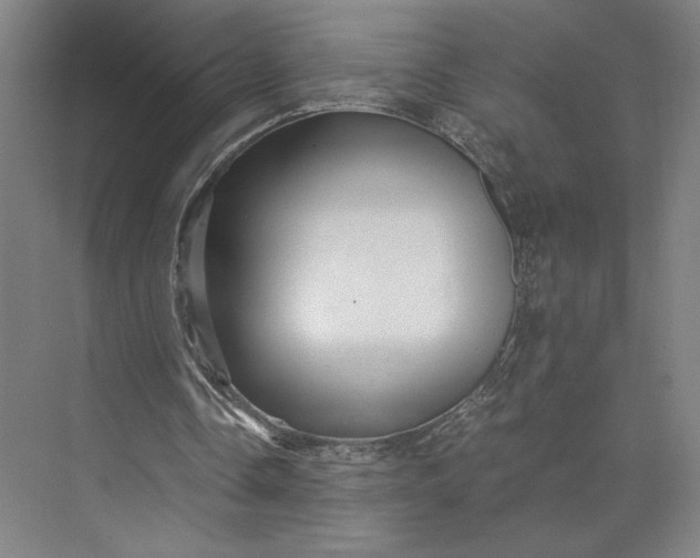 X0000073530338200608141032