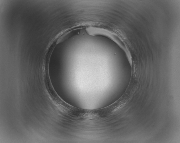 X0000073530348200608141032