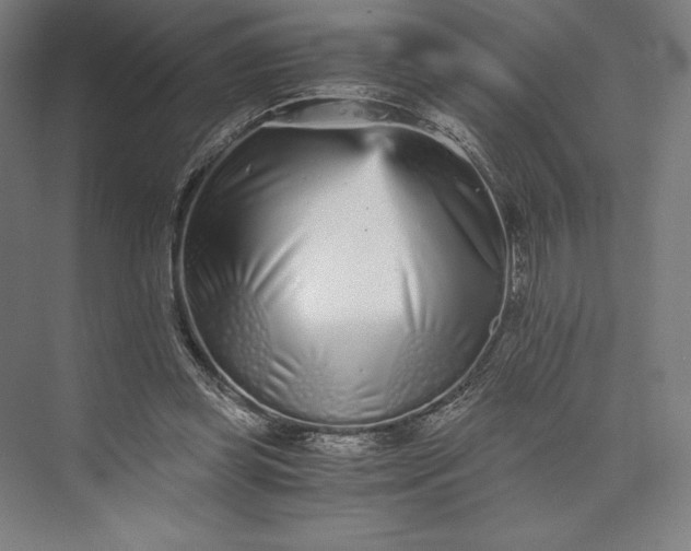 X0000073530349200608141032