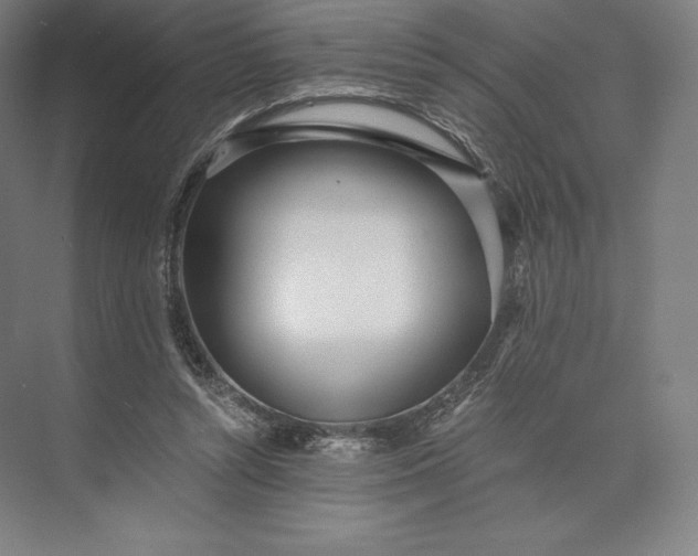 X0000073530352200608141032