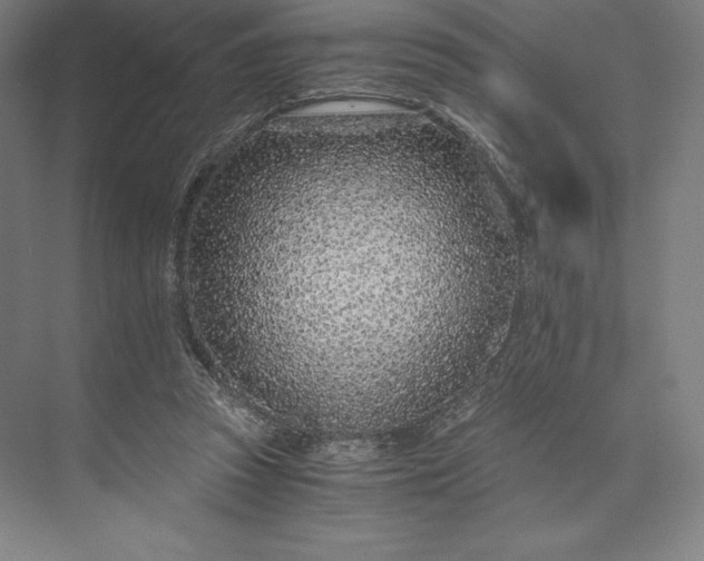 X0000073530353200608141032