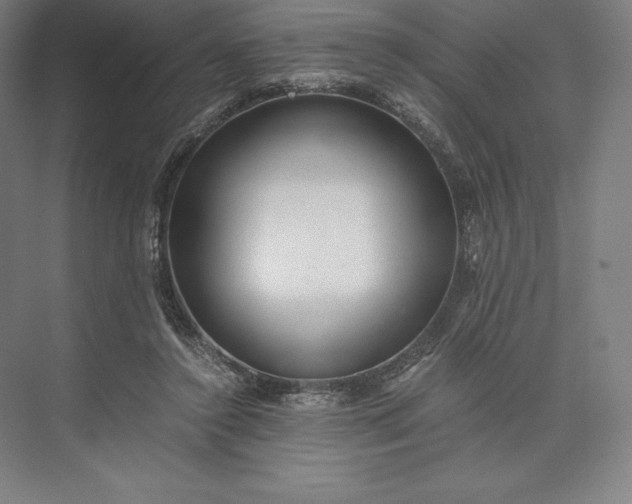 X0000073530356200608141032