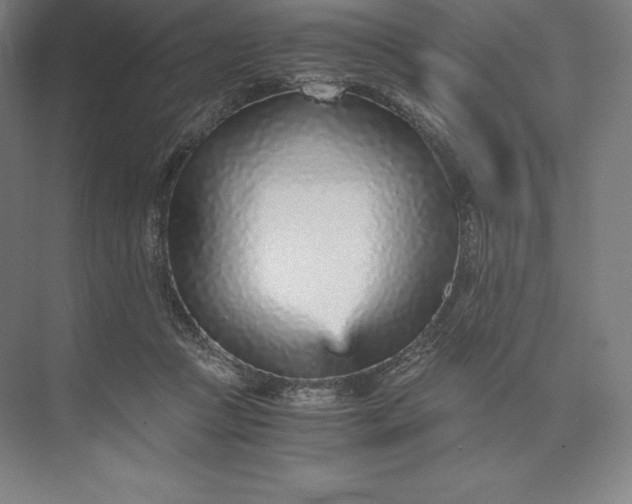X0000073530361200608141032