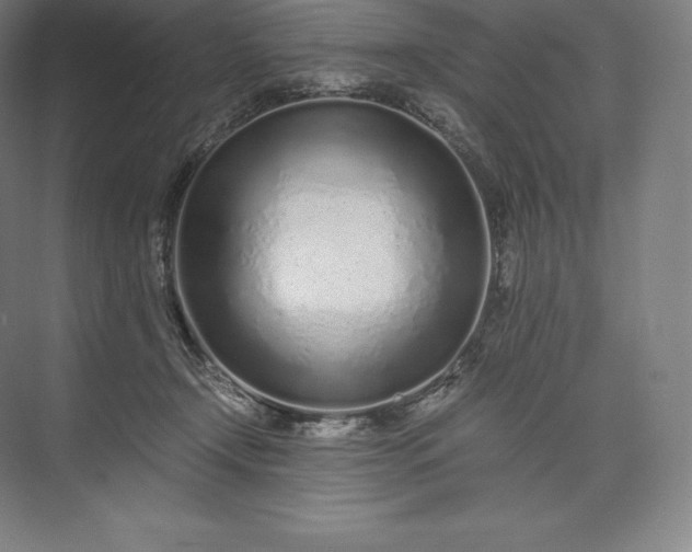 X0000073530366200608141032