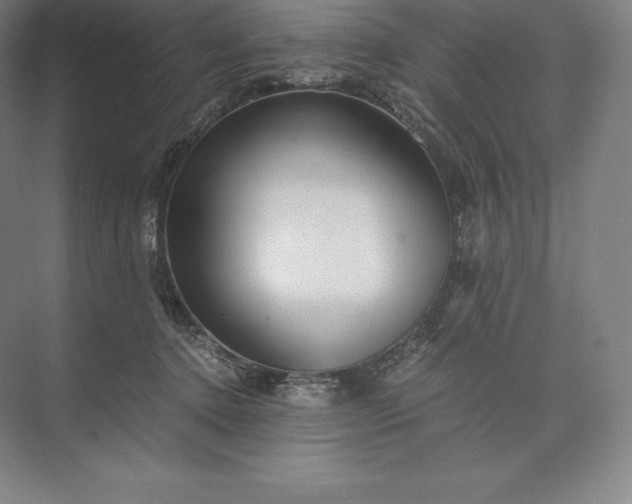 X0000073530368200608141032
