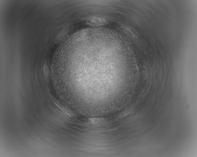 X0000073530371200608141032