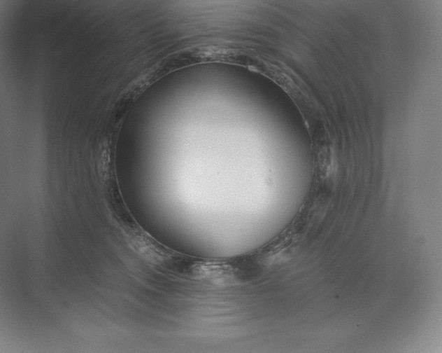 X0000073530372200608141032